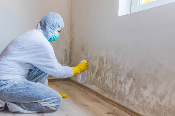 Mold Remediation specialist working in Old Bethpage