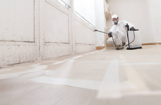 Black mold remediation team in Old Bethpage